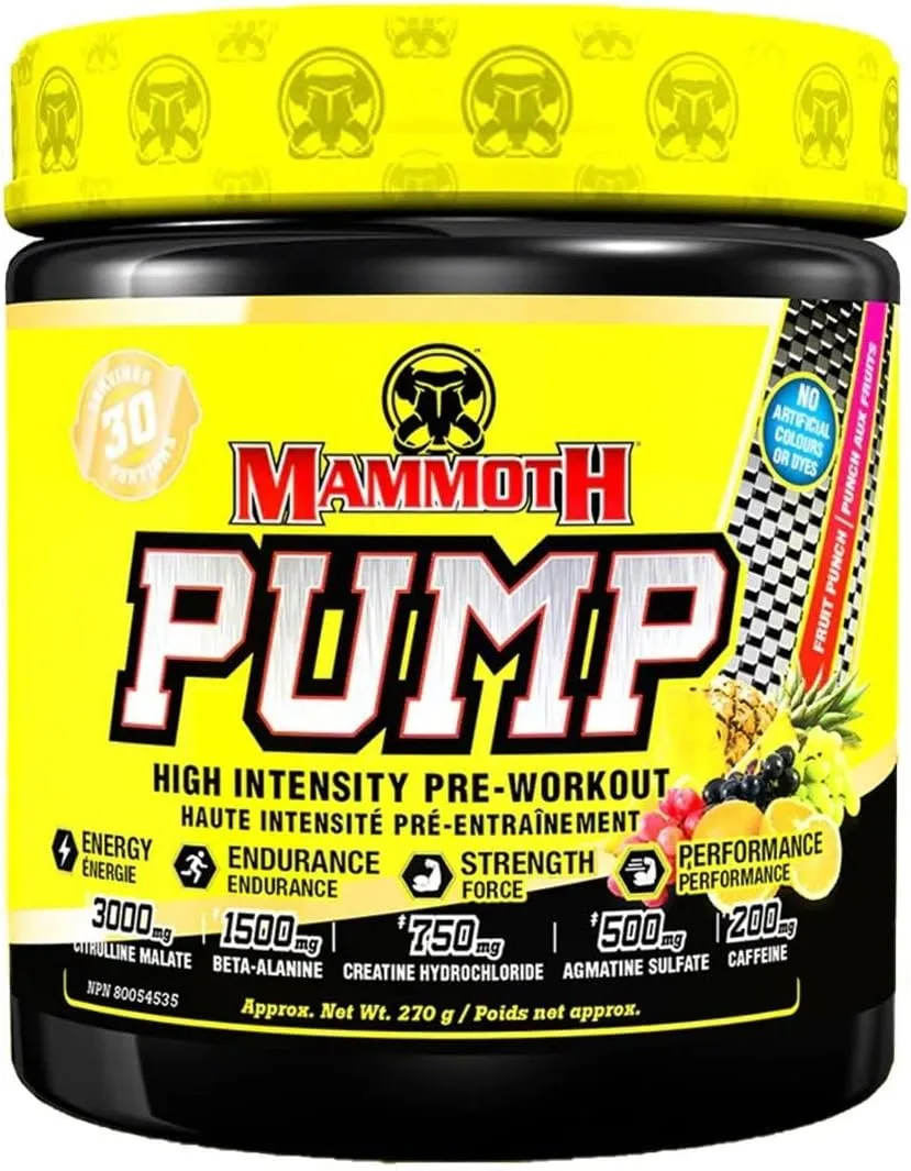 Mammoth Pump