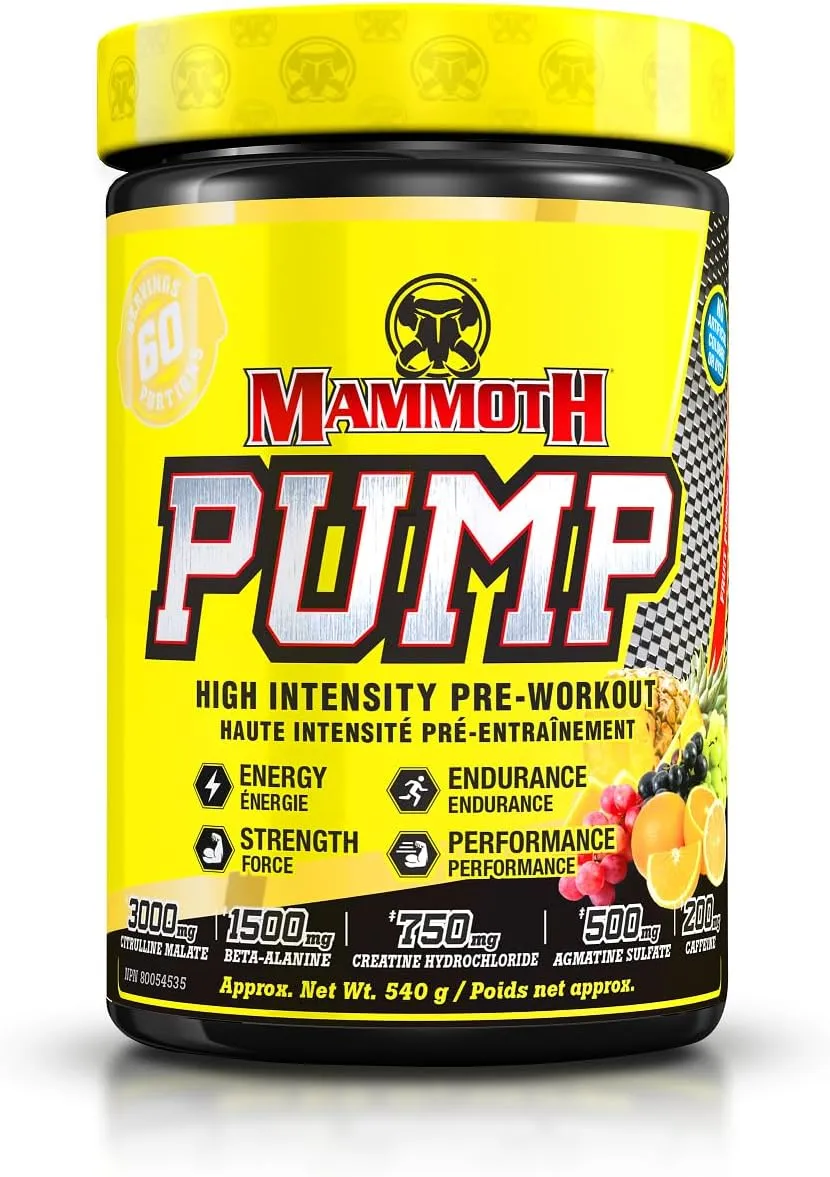 Mammoth Pump