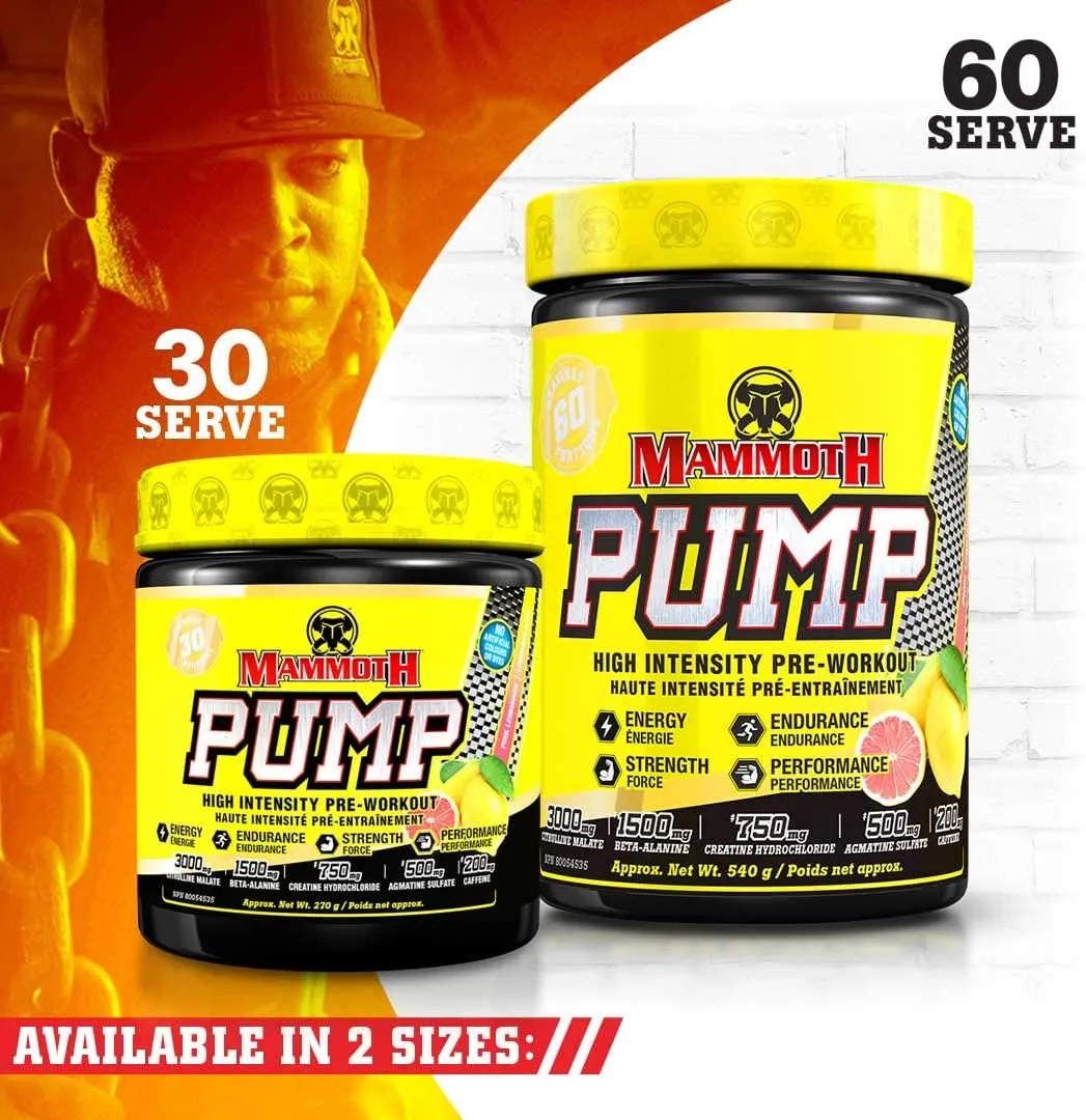 Mammoth Pump