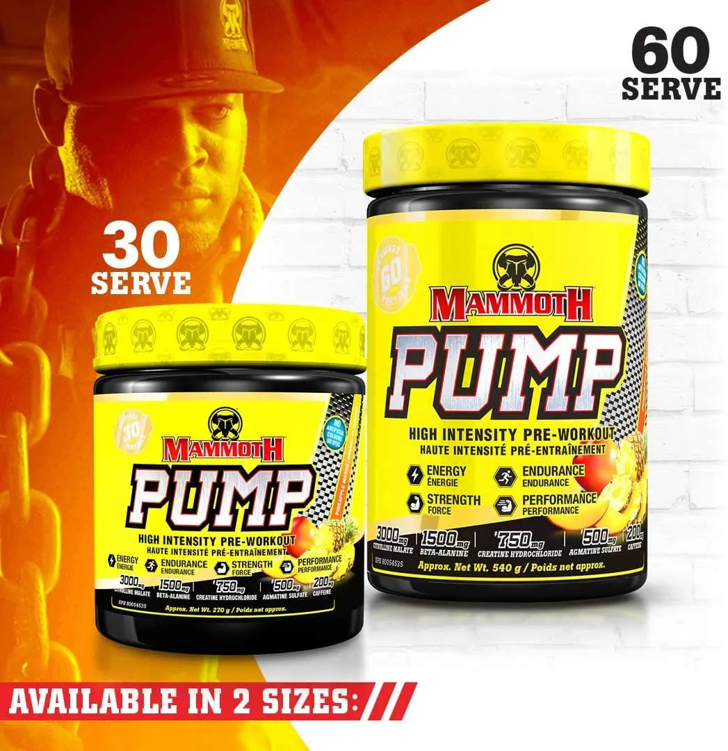 Mammoth Pump