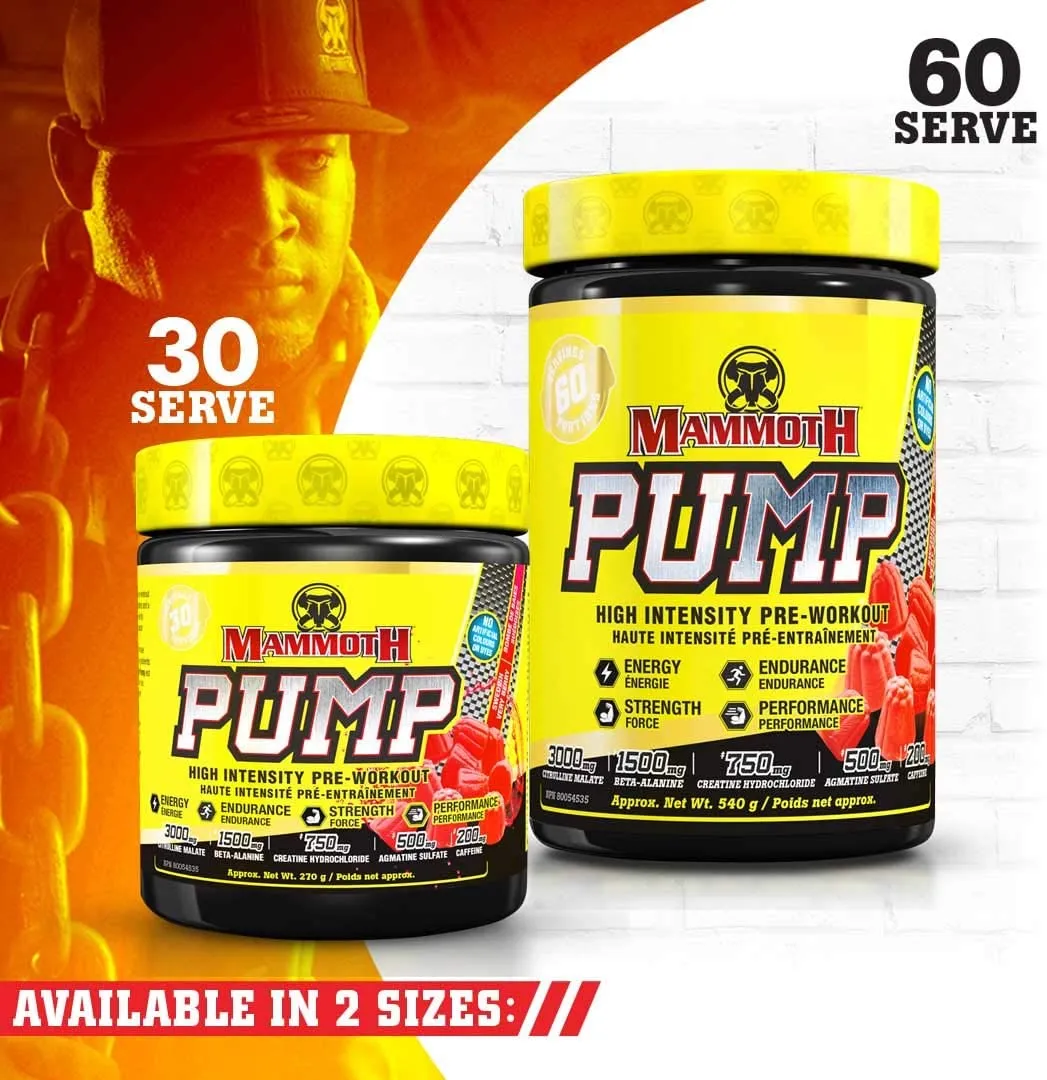 Mammoth Pump