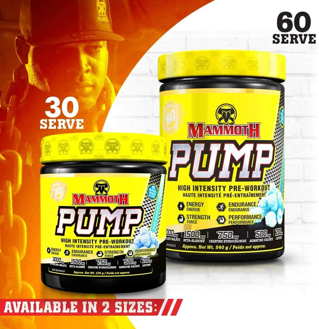 Mammoth Pump
