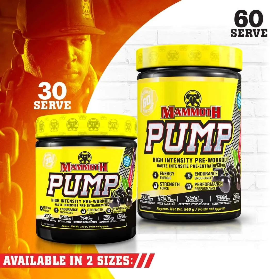 Mammoth Pump