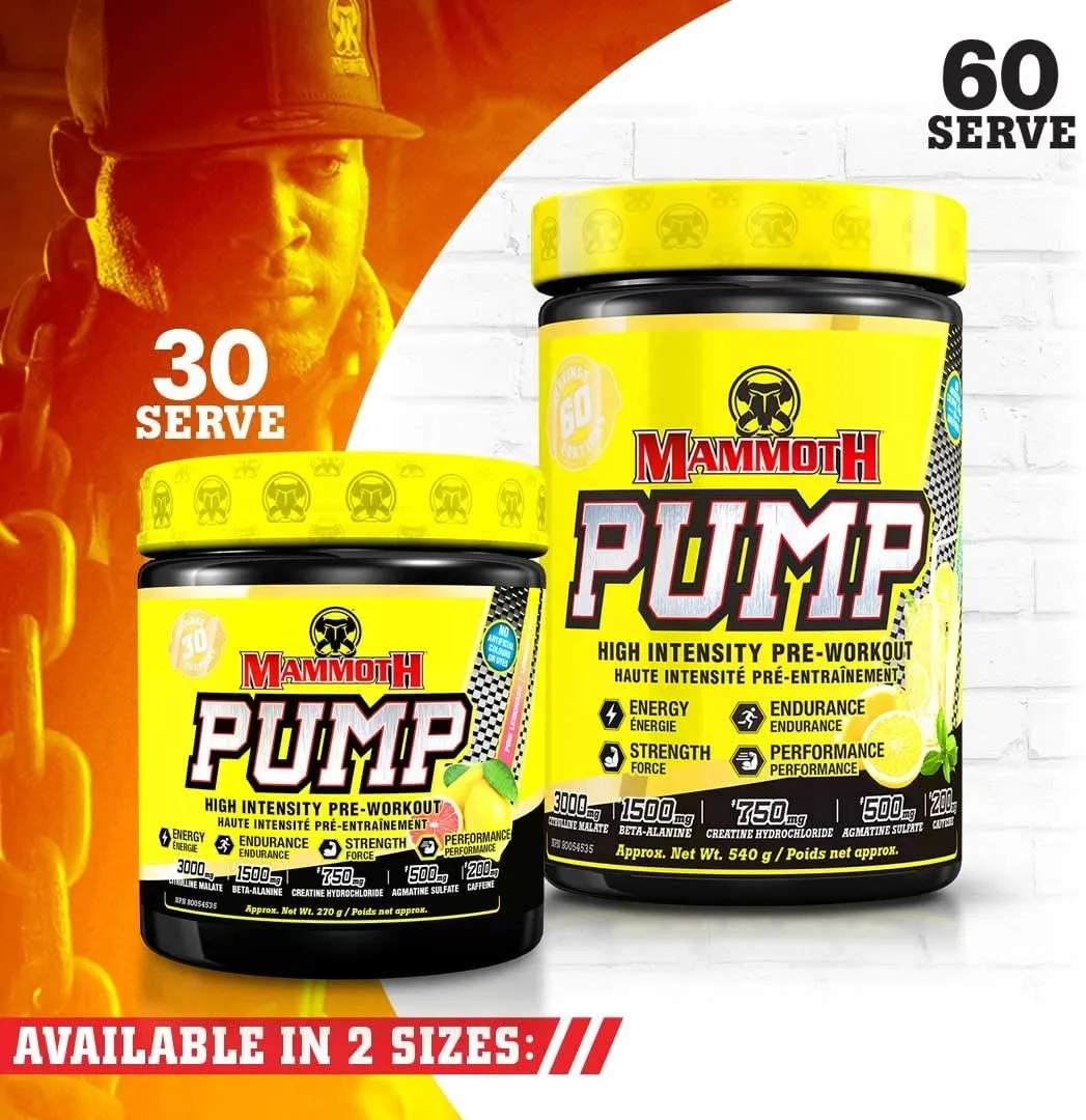 Mammoth Pump